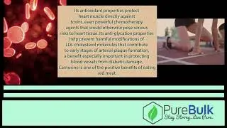 PureBulk Carnosine