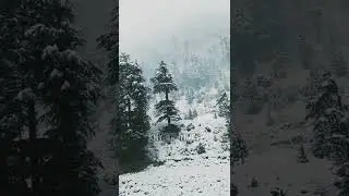 Kalam Snowfall #kpk #swat #snowfall #2022 #honeymoon #pakistan #snow #khyber #shinwari #khybertimes