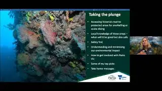 Get Wet in Victoria's Marine National Parks