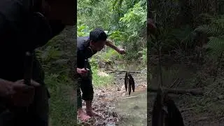 #survival #bee #primitiveshelter #satisfying #poor #primitivesurvival #kongsurvival #primitivehouse