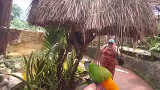 AMAZING bird aviary in Costa Maya!!!