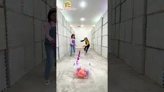 Eva & Ellie&rsquo;s Epic Color Cup Bin Race Challenge! 🌈🏆