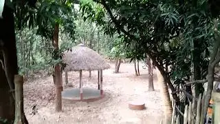 Aranya sundari resort, Bhalki machan