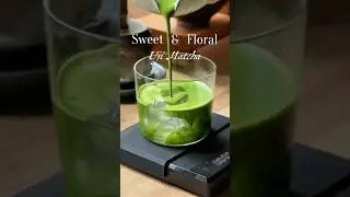 Heed Matcha&rsquo;s Seasonal Blend, Uji Hikari and Samidori cultivar! #matcha #matchareview #shortsvideo