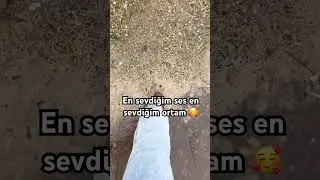 Burası bizim k&ouml;yde eski hamam diye ge&ccedil;en doğal yer altı suyu olan bir b&ouml;lge şahane hikayesi var #fyp