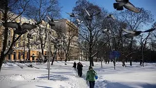 Maior nev&atilde;o em 200 anos cobre Moscovo e perturba o dia a dia