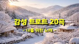 감성 트로트 20곡｜하루를 조용히 위로하는 인생 노래  [세월, 인생, 마음, 그리움, 사랑]