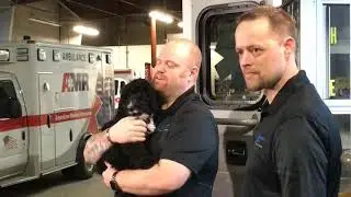 Meet AMR&rsquo;s first therapy service dog