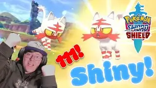 Crazy Fast Live Shiny Litten! | Only 111 Egg Hatches! | Pokemon SWSH