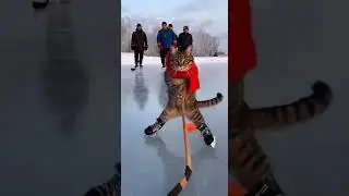пушистый хоккеист #rek #cat #sora2