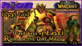 Ласт-босс 10ppl DM // WoW Vanilla Plus //Pr0cast