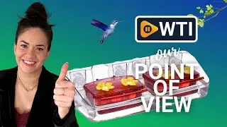 Jealoeur Hummingbird Feeders | Our Point Of View