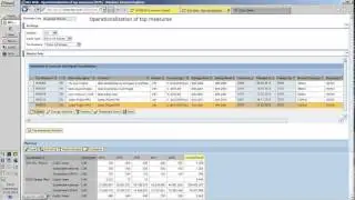 Flexible Ma&szlig;nahmenplanung und Kommentierung mit SAP BW IP