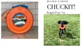 Chuckit! Rugged Flyer Dog Toy - Review and Demonstration