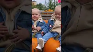 Adorable Baby Twins Sitting on Pumpkins and Laughing at Pumpkin Patch