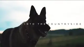 into the countryside (sony a7iii cinematic)