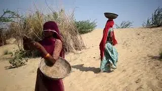 मरुधरा में निर्जला ग्यारहस का महत्व