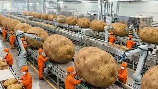 Inside a Modern Potatoe Chips Factory: From Potatoes to Stacked Potato Chips (Full Process)