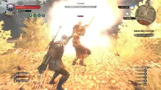 The Witcher 3: Wild Hunt - Caretaker