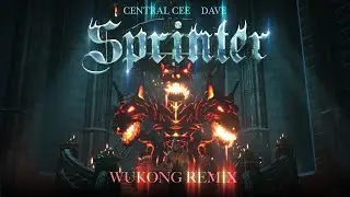 SPRINTER - CENTRAL CEE x DAVE ( WUKONG REMIX )