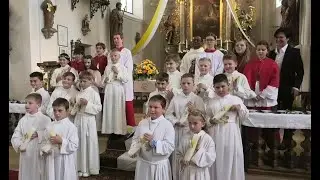 Erstkommunion - St. Martin 2025