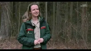 Unterwegs in Sachsen mit Revierleiterin Janina Albrecht