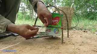 Best Chicken Trap Video 2021   Installing Chicken Trap Using Dupro Cans