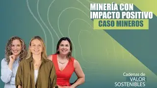 Minería con Impacto positivo: Caso Mineros
