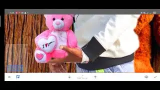 HAPPY teddy day photo editing PicsArt snapseed auto desk skcht book Lightroom