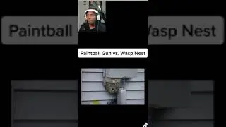 Get Ready for the Ultimate Paintball vs Beenest Showdown