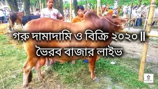 গরু দামাদামি ও বিক্রি ২০২০ || ভৈরব বাজার লাইভ