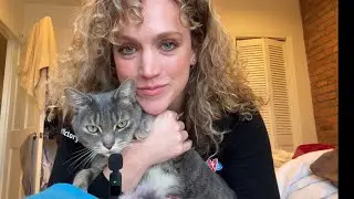 Trying my new ASMR mic but my cat hijacks the show #asmr #cat #microphone #mouthsounds 