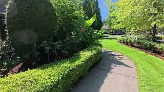 Arbor Roses and Neighboring Areas - July 3, 2025 (4)