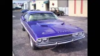 Muscle Rod Shop / Paintshop101 project gallery