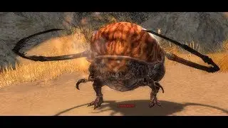 Guild Wars - Farming Ruby & Sapphire (Rt/Mo) [Geode]