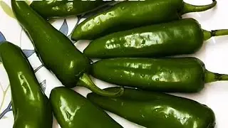 अगर मिर्च फ्राई ऐसे बनाओगे तो बिना भूख भी 4 रोटी इसी से खाओगे | Mirchi Fry दही वाली मिर्ची की सब्जी