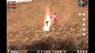 Metin2 Heilschami PvP