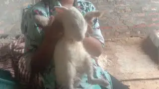 Neerav best bhakti  is live!,,,,,, welcome to my live 😍,,,,, ❤️🚩❤️🌿