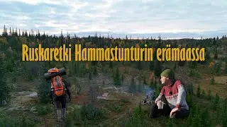 Appistunturit ja Hammastunturin erämaa - Syysvaellus Lapissa