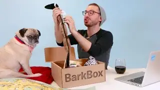 Unboxing the Sniffin' Safari BarkBox with Jonathan & Noodle!