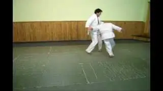 katate dori uchi kaiten nage