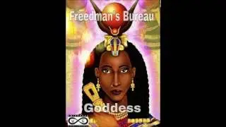 Freedman's Bureau - 