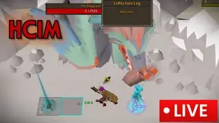 [HCIM] SLAYER AND CA'S