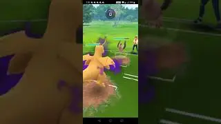 Vortex cup shadow team strikes again