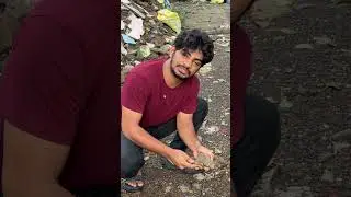 If Ayaan bhai was killed then the whole gang would have come out 😂 #content #comedy #funny #meme ...