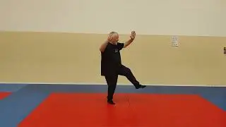Tai Chi Chuan -  Cycle 2 l'HOMME de face JC 2026