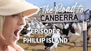 The Road To Canberra 🐧 Episode 2 🐧 Phillip Island