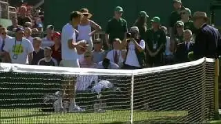 Medvedev throws coins at umpire