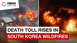 Deadly wildfires ravage South Korea as death toll rises