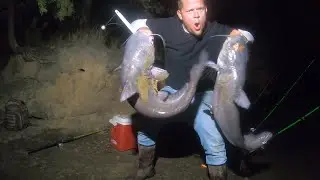How To Catch Big Catfish At Night From The Bank